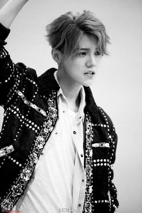 娱乐吃瓜猫鹿晗